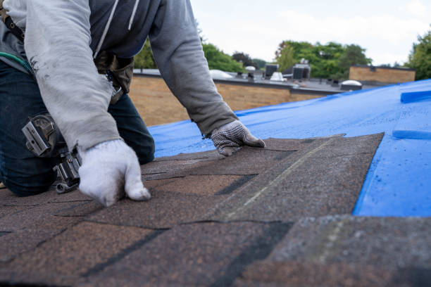 Best Metal Roofing Contractor  in Woodbury, TN