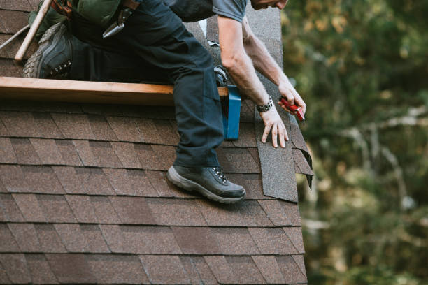Best Gutter Installation and Roofing  in Woodbury, TN